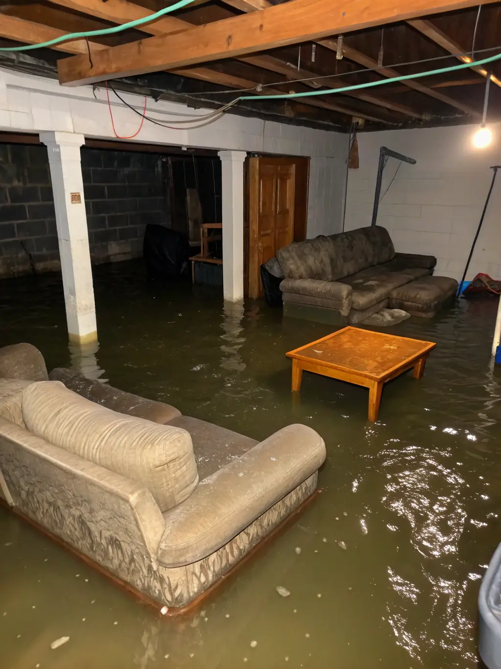 A flooded basement with water damage, showcasing the need for water extraction services. The image should convey urgency and the potential for significant damage.